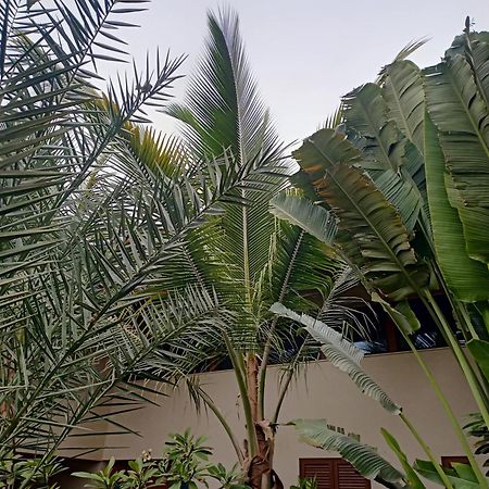 Casa Das Buganvilias Praia Zewnętrze zdjęcie