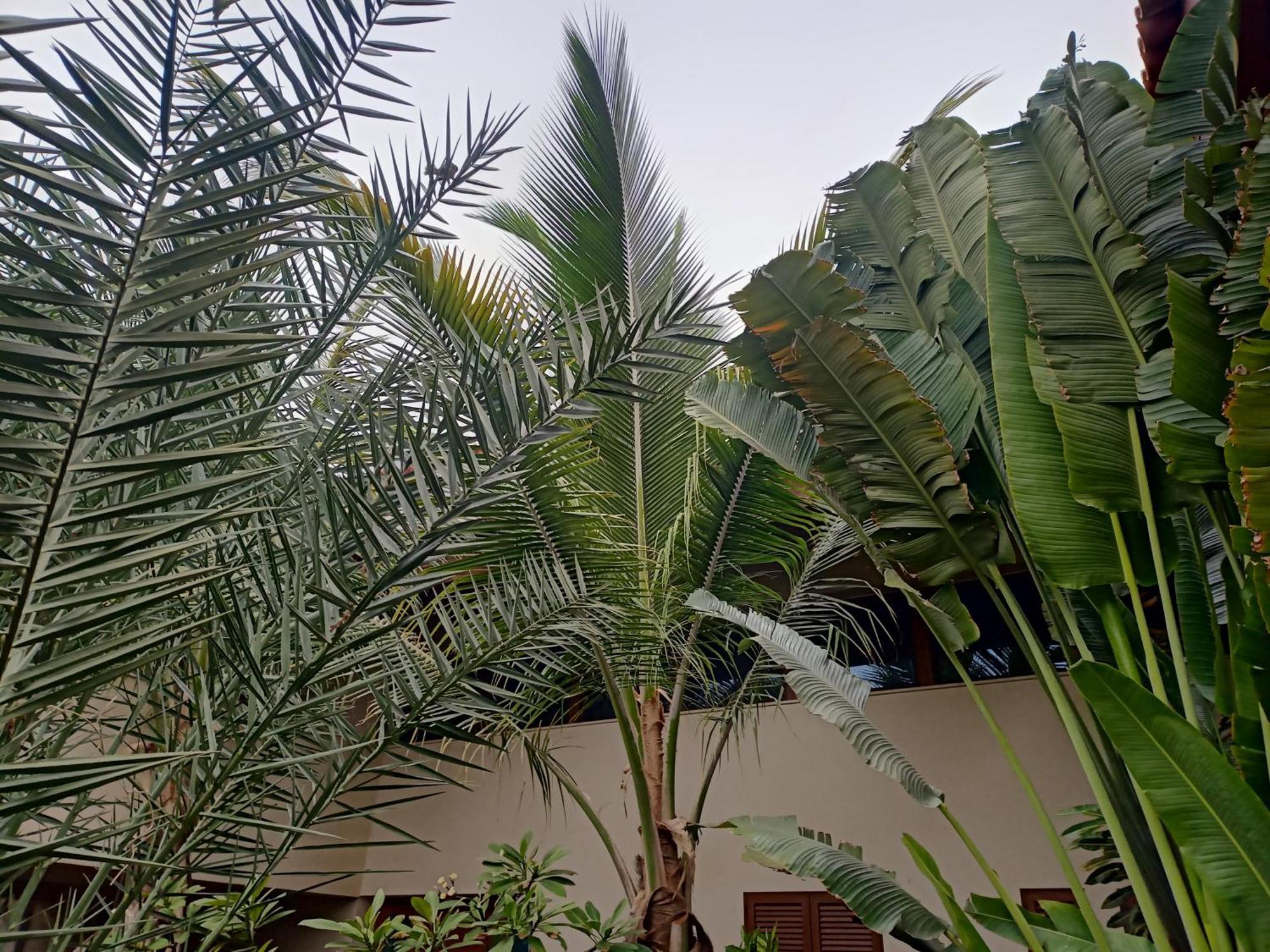 Casa Das Buganvilias Praia Zewnętrze zdjęcie